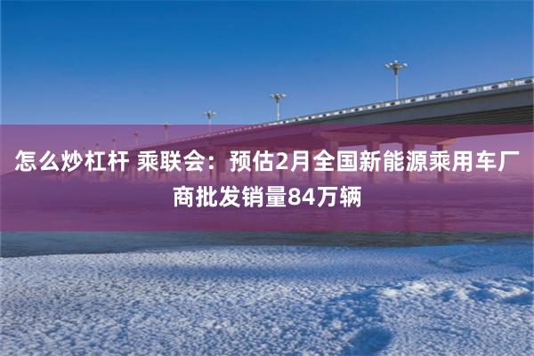 怎么炒杠杆 乘联会：预估2月全国新能源乘用车厂商批发销量84万辆