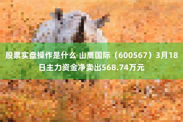 股票实盘操作是什么 山鹰国际（600567）3月18日主力资金净卖出568.74万元
