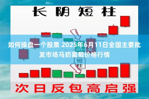如何操盘一个股票 2025年6月11日全国主要批发市场马奶葡萄价格行情