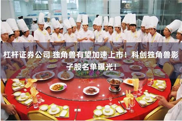 杠杆证券公司 独角兽有望加速上市！科创独角兽影子股名单曝光！