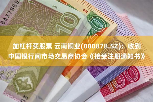 加杠杆买股票 云南铜业(000878.SZ)：收到中国银行间市场交易商协会《接受注册通知书》
