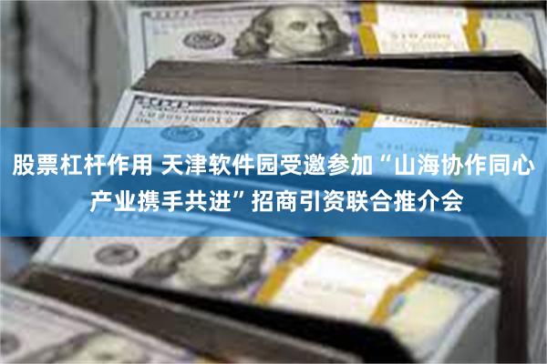 股票杠杆作用 天津软件园受邀参加“山海协作同心 产业携手共进”招商引资联合推介会