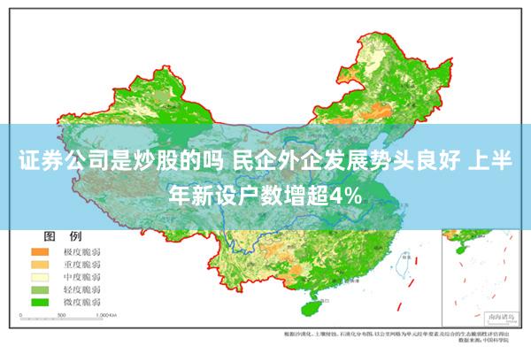 证券公司是炒股的吗 民企外企发展势头良好 上半年新设户数增超4%