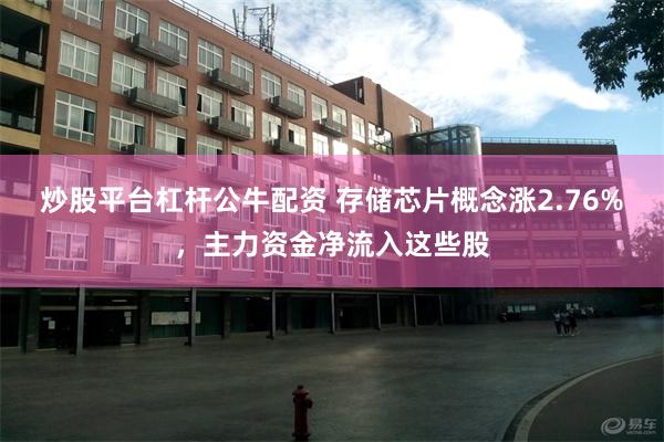 炒股平台杠杆公牛配资 存储芯片概念涨2.76%，主力资金净流入这些股